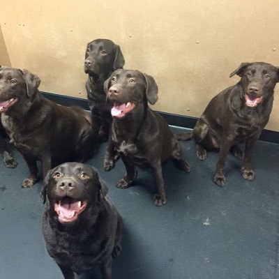 melanie_gavan's profile picture. Love my job, sunny weather and dogs!