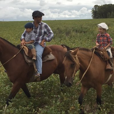 PabloyLoli's profile picture. 