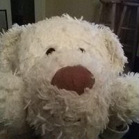 Ecki (@ecki41) 's Twitter Profile