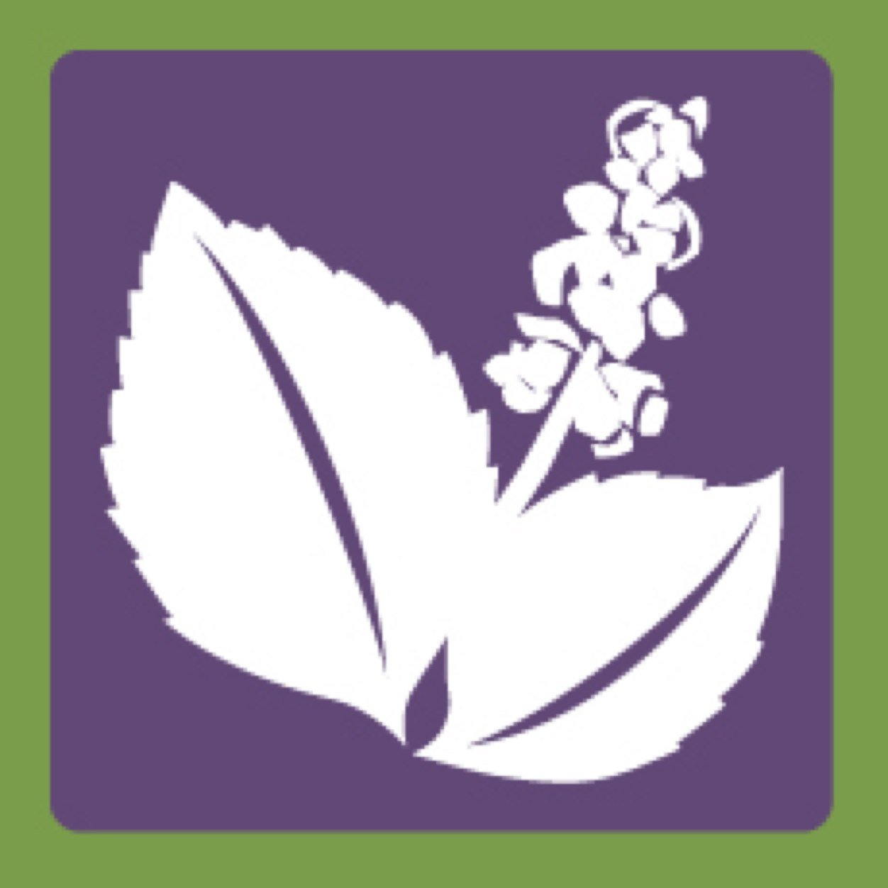 The National Ayurvedic Medical Association represents the Ayurvedic profession in the United States.