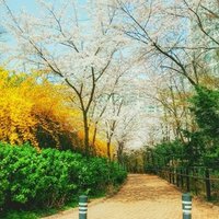 짱구 (@basac0514) 's Twitter Profile