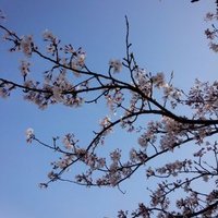 NONO＠取引垢 (@fseigaku) Twitter profile photo