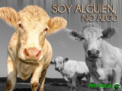 Veganismo es justicia.
Una más en BEZALA Conciencia Animal, @Bezala_AK
Tuits a título personal.