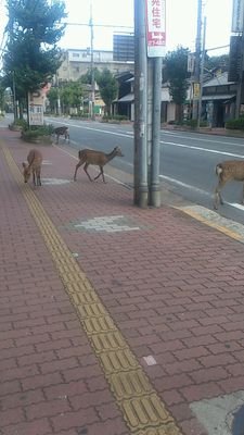 ええ話をたずねて3000里。