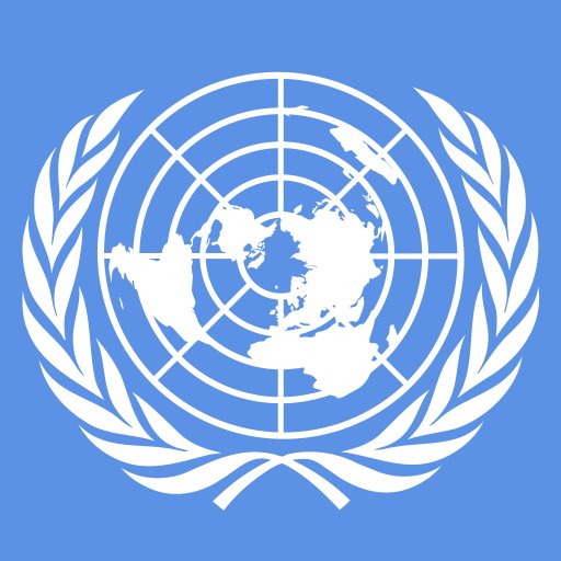 NUMUN_UNICEF's profile picture. 