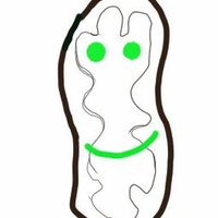 IamMitochondria (@mitopapers) 's Twitter Profile Photo IamMitochondria (@mitopapers) 's Twitter Profile Photo