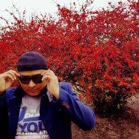 Mahesh Adhikari (@maheshadh) 's Twitter Profile