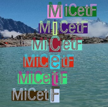 MiCetF Profile Picture