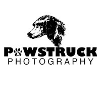 PawstruckPhotography(@pawstruck_photo) 's Twitter Profile Photo