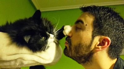 ElChifly's profile picture. Me gustan las anchoas en la pizza, como tiene que ser.