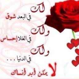 yy_sobhy's profile picture. 