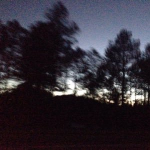 bestof_polyvore's profile picture. 