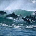 Beth Abraham - @bmabram - Twitter