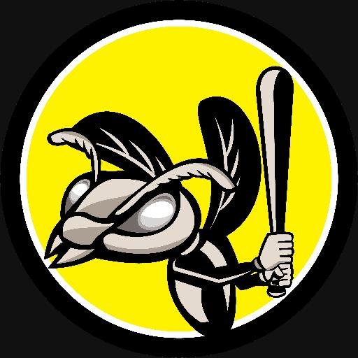 Romford Wasps Baseball Team. Official Twitter Account