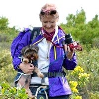 Debbie Roberts (@chirpydebs) 's Twitter Profile