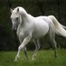 انارجلٌ صعب اختياريه (@loveroyalnet1) Twitter profile photo انارجلٌ صعب اختياريه (@loveroyalnet1) Twitter profile photo