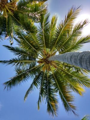 Recogito's profile picture. An evidenced based wellness at work programme that improves well being and performance of your teams, people and families.