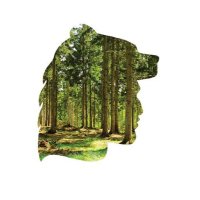 Fighting Bears (@fightingbears) 's Twitter Profile Photo Fighting Bears (@fightingbears) 's Twitter Profile Photo