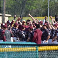 Stuttgart Baseball (@ricebirds_bsb) 's Twitter Profile