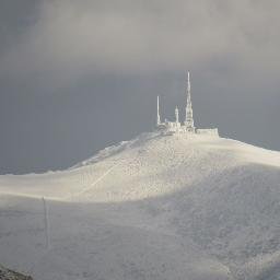 gines_gutierrez's profile picture. 