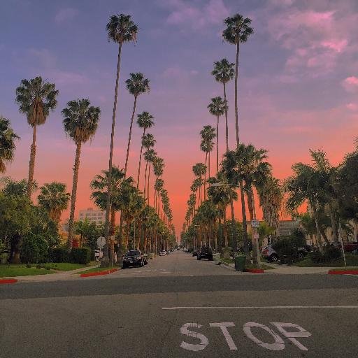 birdydrib's profile picture. 