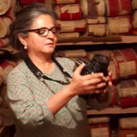 Dayanita Singh (@dayanitasingh) 's Twitter Profile