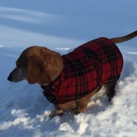Nancy (@nancy771) 's Twitter Profile