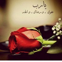 المـــلڪـــہ🕊 (@zayzo6) 's Twitter Profile