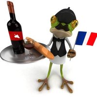 Frogyz-Learn French(@BlogFrogyz) 's Twitter Profile Photo