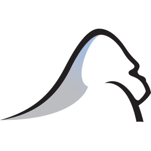Silverback Strategies Profile