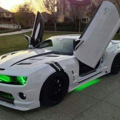 itzyoalejandro's profile picture. Hey im Alejandro Alex Cruz Pack and everyone calls me Alex and i play xbox 360 and i have a k-9 dog