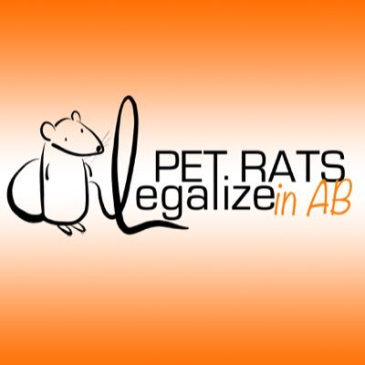 Ratvocating to Legalize Pet Rats in Alberta! Help me to legalize pet rats! Sign my petition & follow me for cute rat photos. #ab #petrats #legalizepetrats