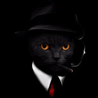 El Stray (@ledastraymusic) 's Twitter Profile
