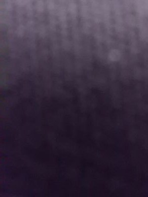 FidelDouglass's profile picture. 