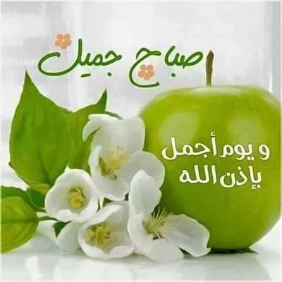 nofioo4601's profile picture. القلوب