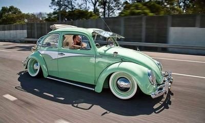 Maveric40977456's profile picture. 