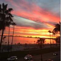 DorotheaDeane (@dorotheavdeane) 's Twitter Profile