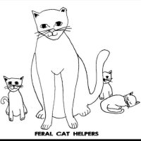 Feral Cat Helpers & Kit-Cats (@feralcathelpers) 's Twitter Profile Photo Feral Cat Helpers & Kit-Cats (@feralcathelpers) 's Twitter Profile Photo