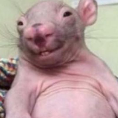 austinpowers978's profile picture. 