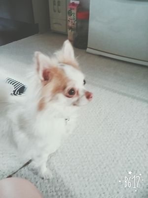 r5fPewh3YXvtELt's profile picture. 