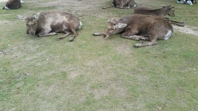 5SgweF4yBDv37ed's profile picture. １９９７「単車/人材派遣/投資/ブランド卸」