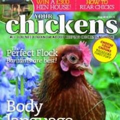 Your Chickens - the monthly magazine for the back garden chicken keeper. Full of tips and advice and real life stories, it celebrates the joy of henkeeping.