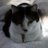 tantwistdot's profile image