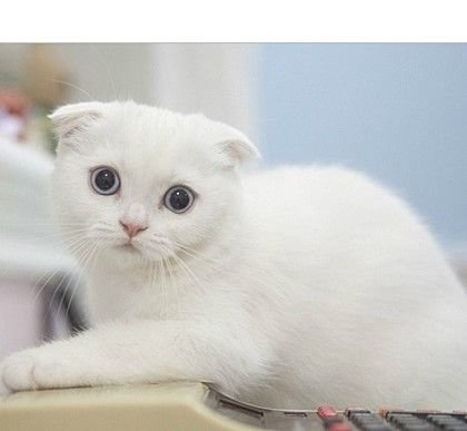 s51234sss's profile picture. 안녕하세요~저는 동물과 자연,그리고 평화에 관심이 많답니다~친구도 하고 좋은 정보도 공유해요!:)♡ (맞팔99%)