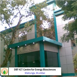 Centre for Energy Biosciences, ICT, Mumbai