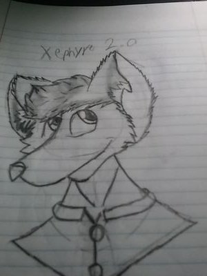 xephyrethewolf's profile picture. hi im a fun loving/artistic/animal loving/wolf/i always give awayfree art /i love to talk so DM me anytime/i love rp/i will follow back/my Skype is xephyre wolf