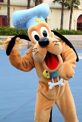 ディズニー大好きー、めっちゃ行きたい！、気軽に絡んでください