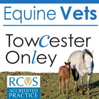 Towcester & Onley(@TowcesterEquine) 's Twitter Profile Photo