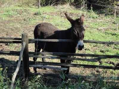 Dmplantman's profile picture. 