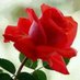 حمودي فحل جاد (@mnn24448) Twitter profile photo حمودي فحل جاد (@mnn24448) Twitter profile photo